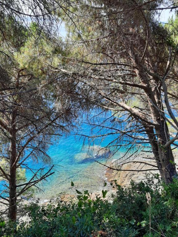Appartamento Il Vicoletto لا سبيتسْيا المظهر الخارجي الصورة